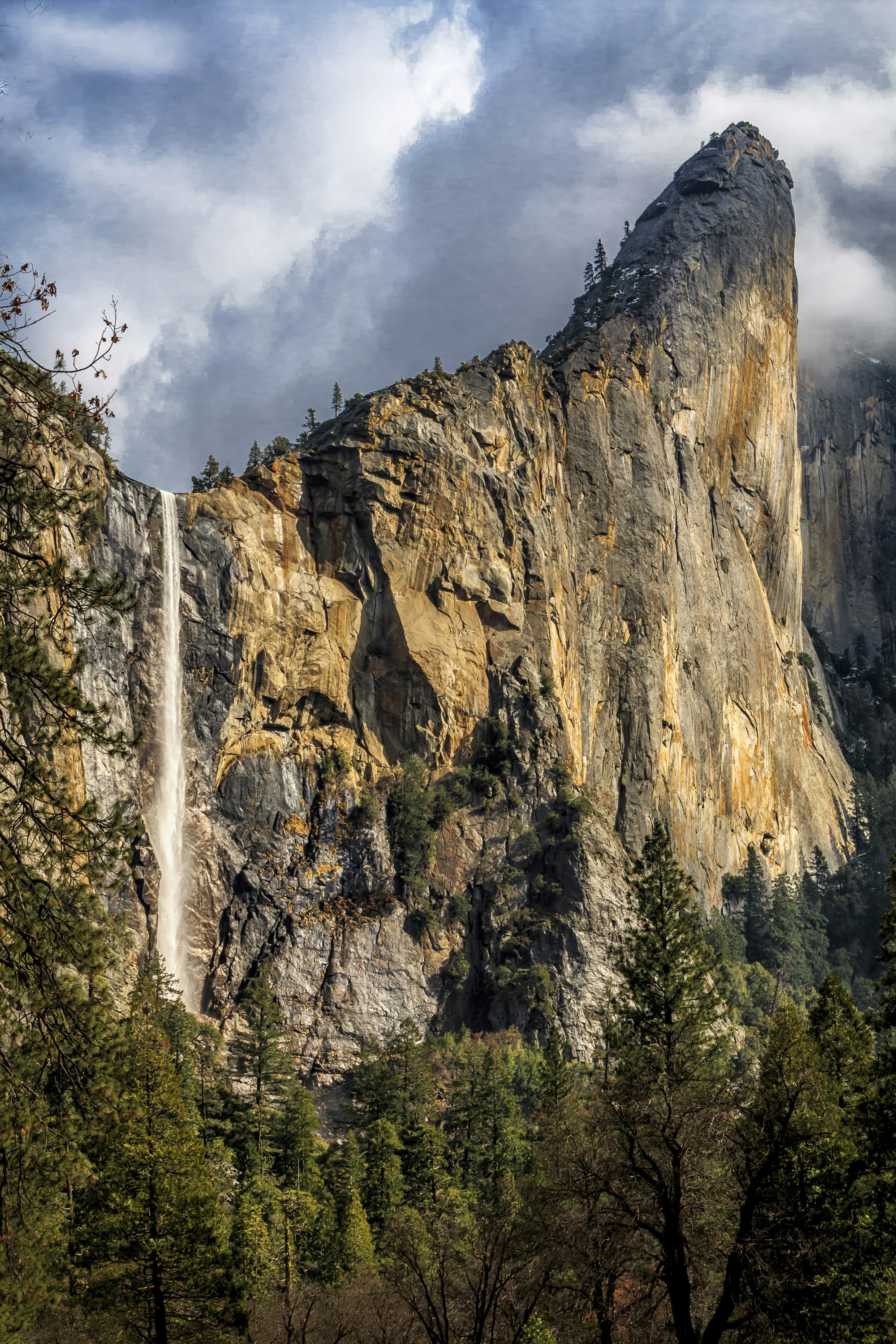 Photo by sterlinglanier