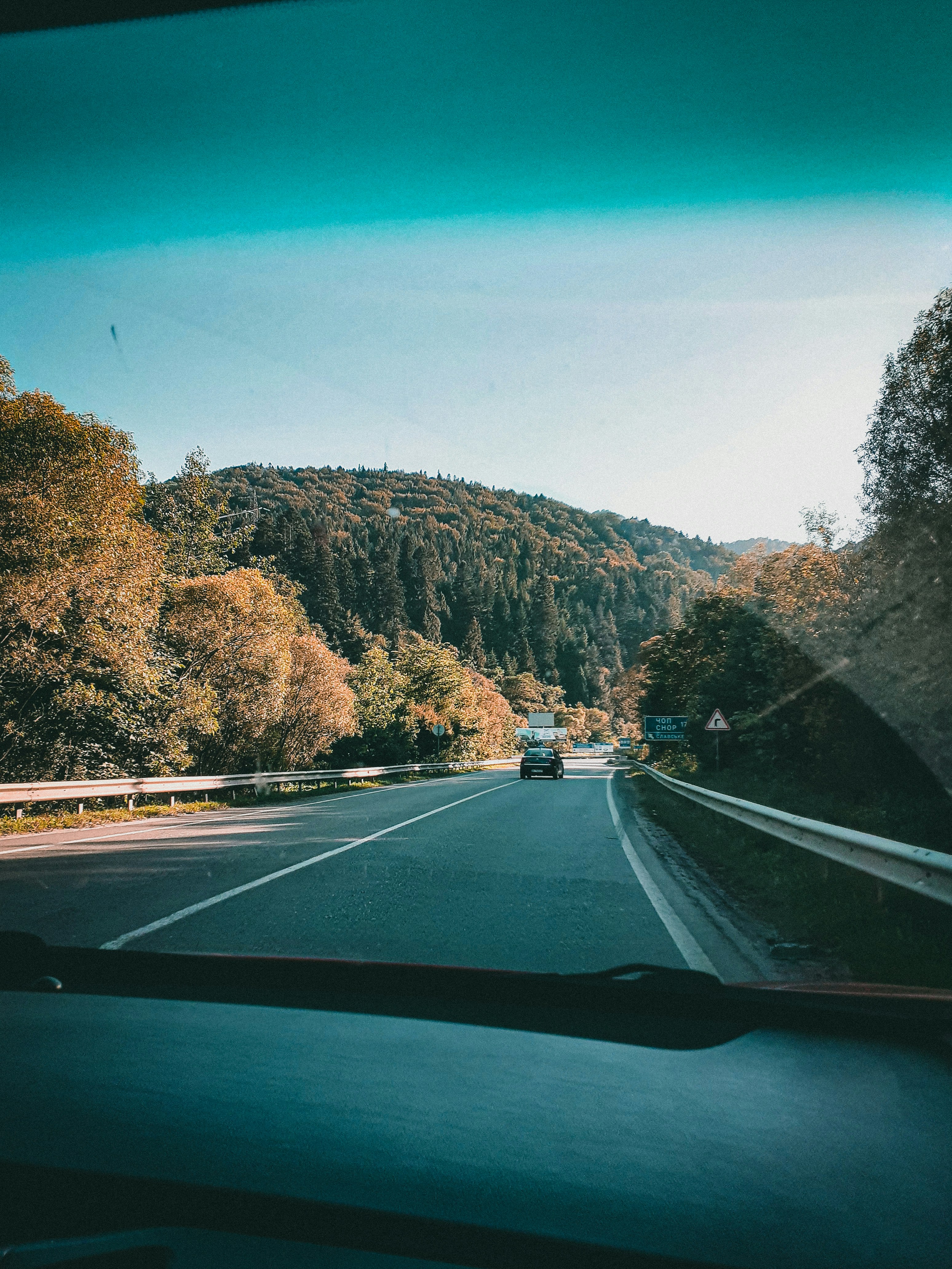 black car on road between trees during daytime