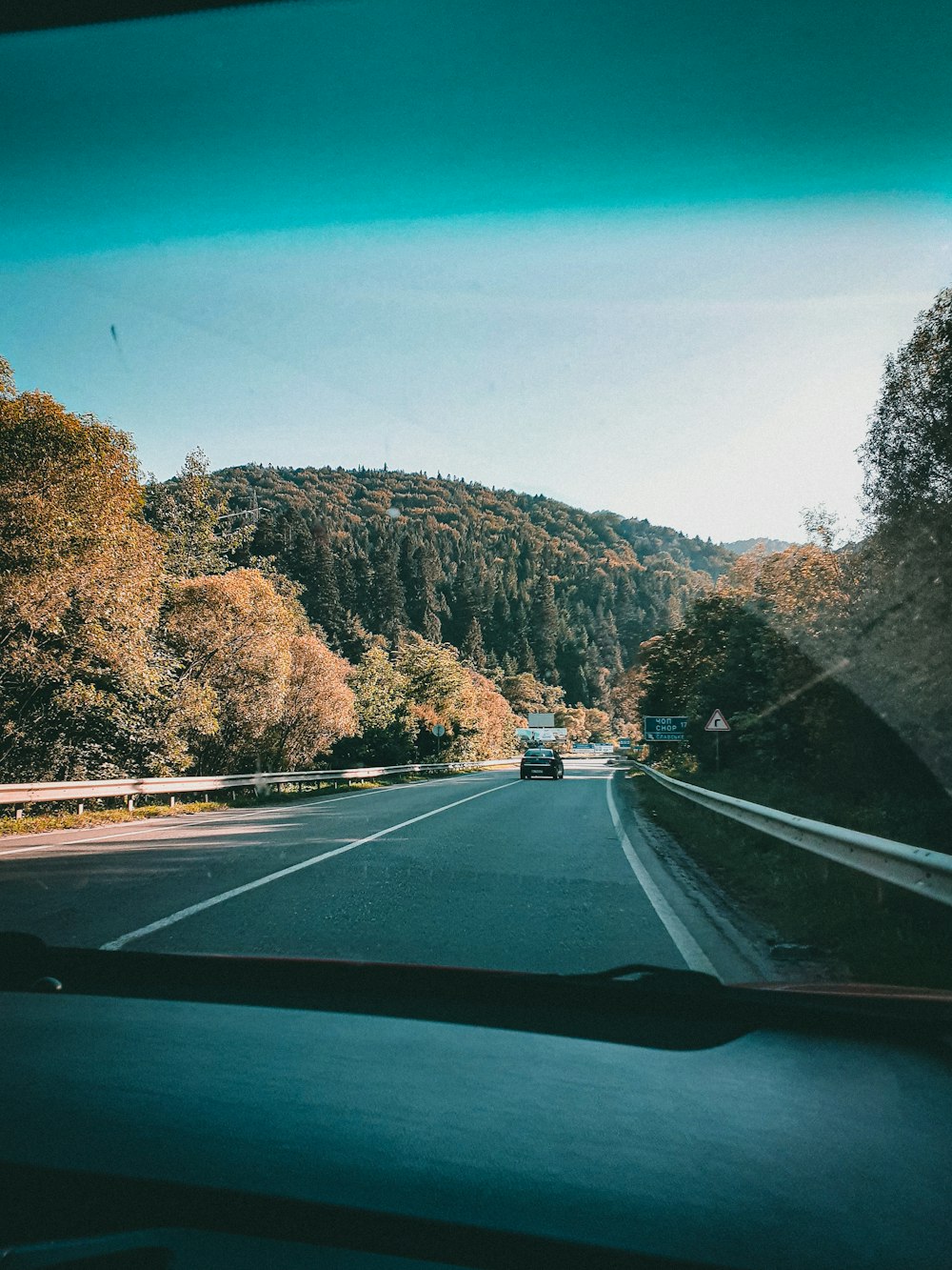 black car on road between trees during daytime