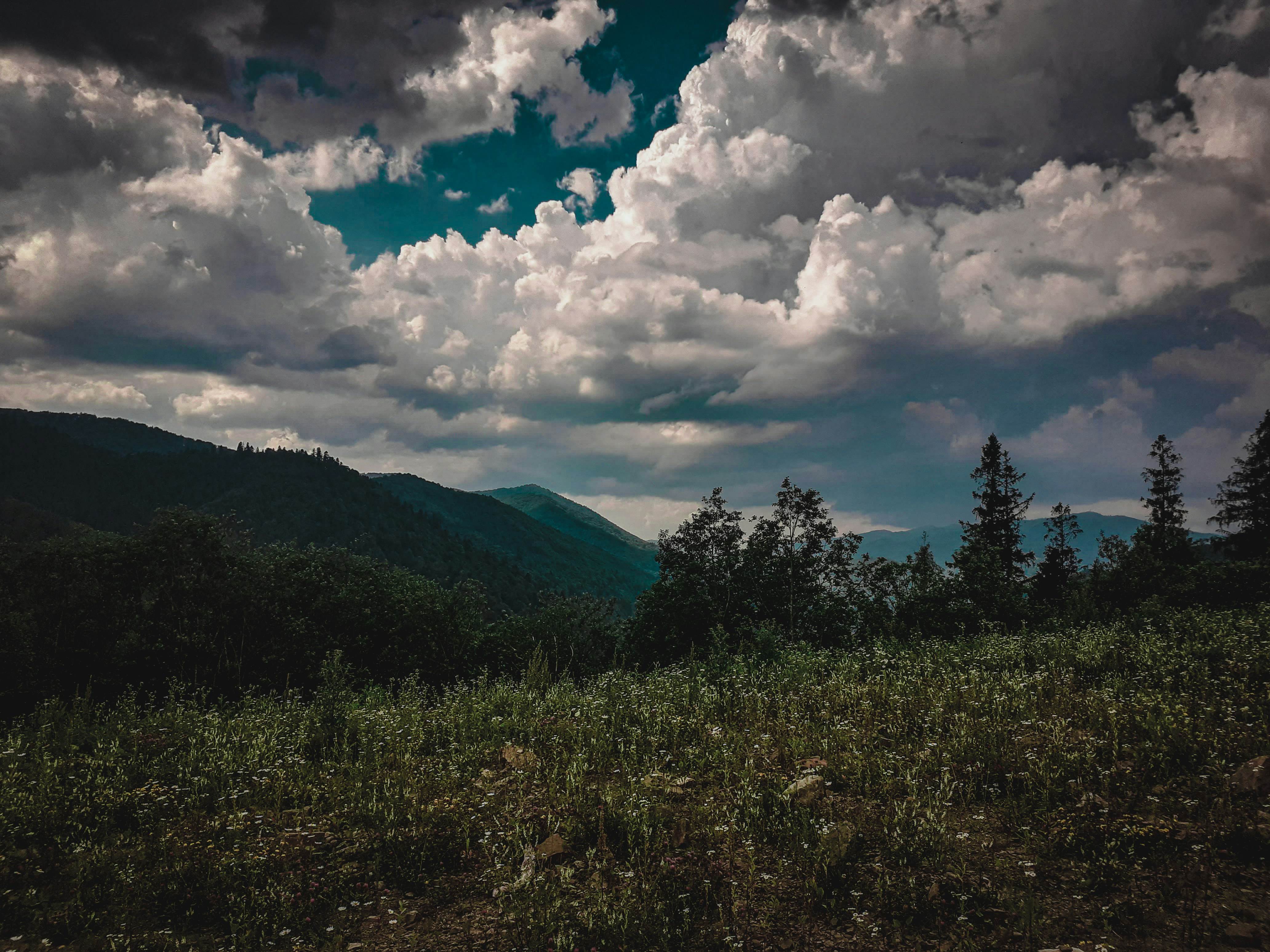 green trees and mountain under white clouds and blue sky during daytime