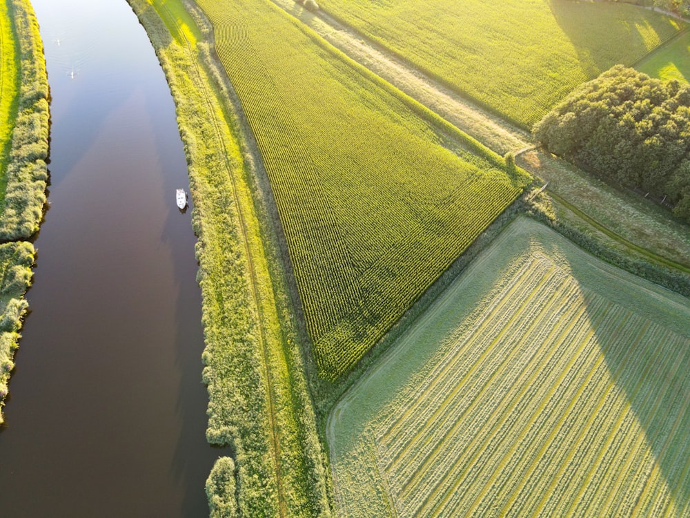 Grünes Grasfeld in der Nähe von Gewässern tagsüber