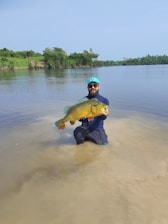 A person kneels in shallow water while holding a large, colorful fish. The backdrop features a calm river with lush greenery along the banks under a clear blue sky.