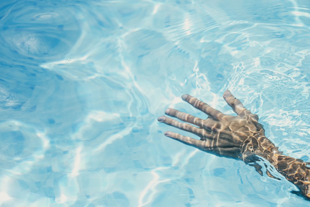 persons hand on water