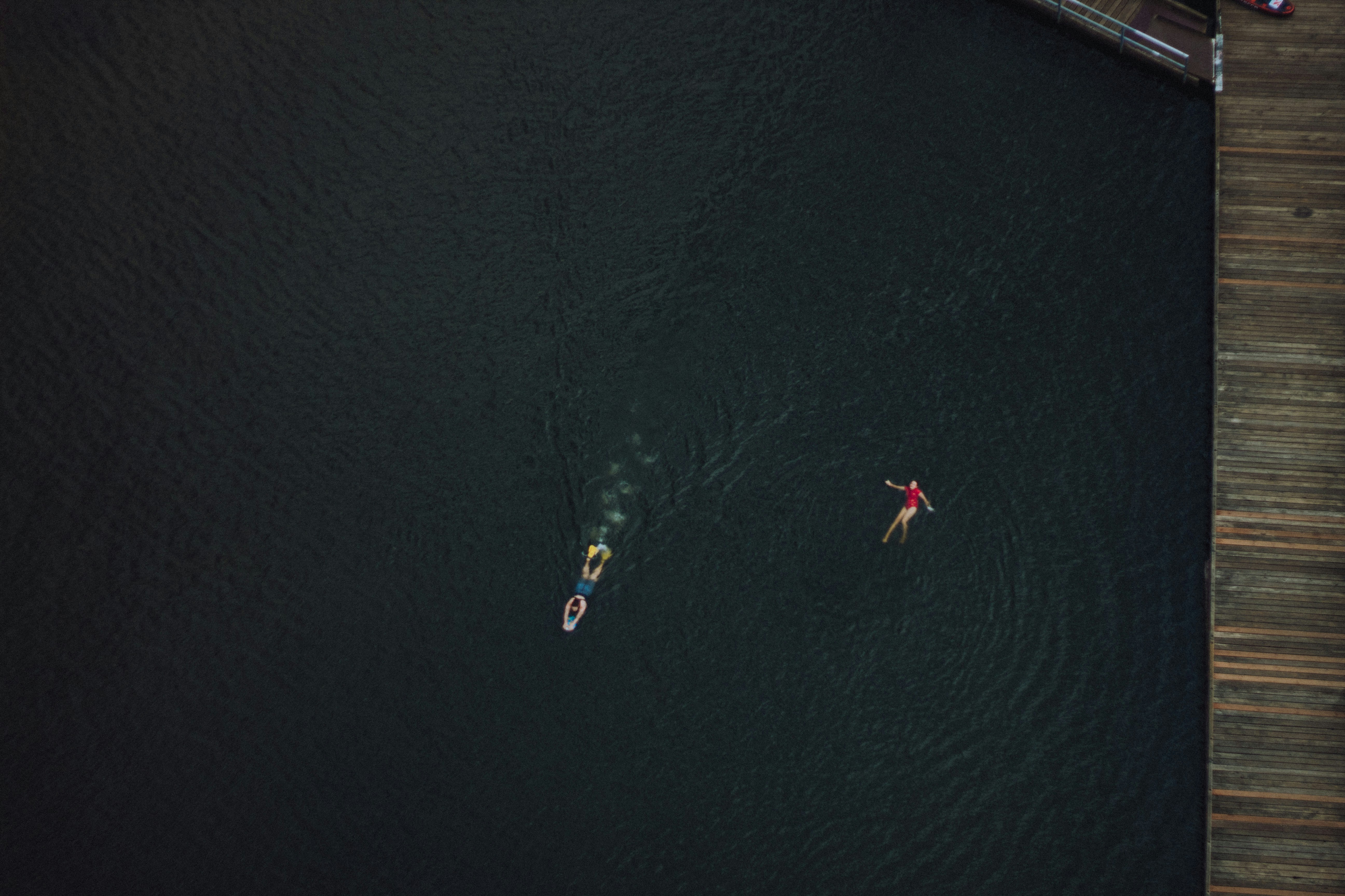 red and yellow bird flying over the sea during daytime
