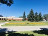A bright, sunny outdoor landscape featuring a well-maintained garden in the foreground with a bed of yellow flowers. In the background, several tall evergreen trees are standing in front of a low brick building. The sky is clear and blue, contributing to a serene and peaceful setting.