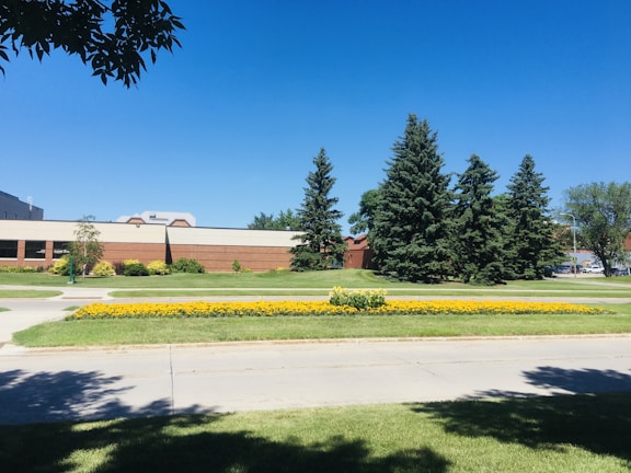 A bright, sunny outdoor landscape featuring a well-maintained garden in the foreground with a bed of yellow flowers. In the background, several tall evergreen trees are standing in front of a low brick building. The sky is clear and blue, contributing to a serene and peaceful setting.