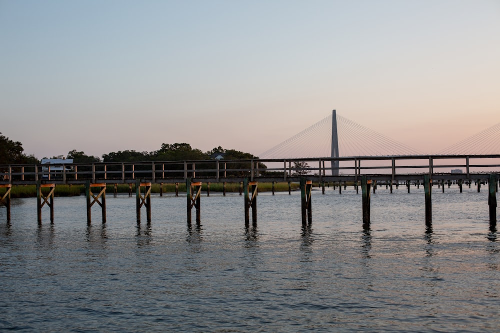 brown wooden dock on sea during daytime