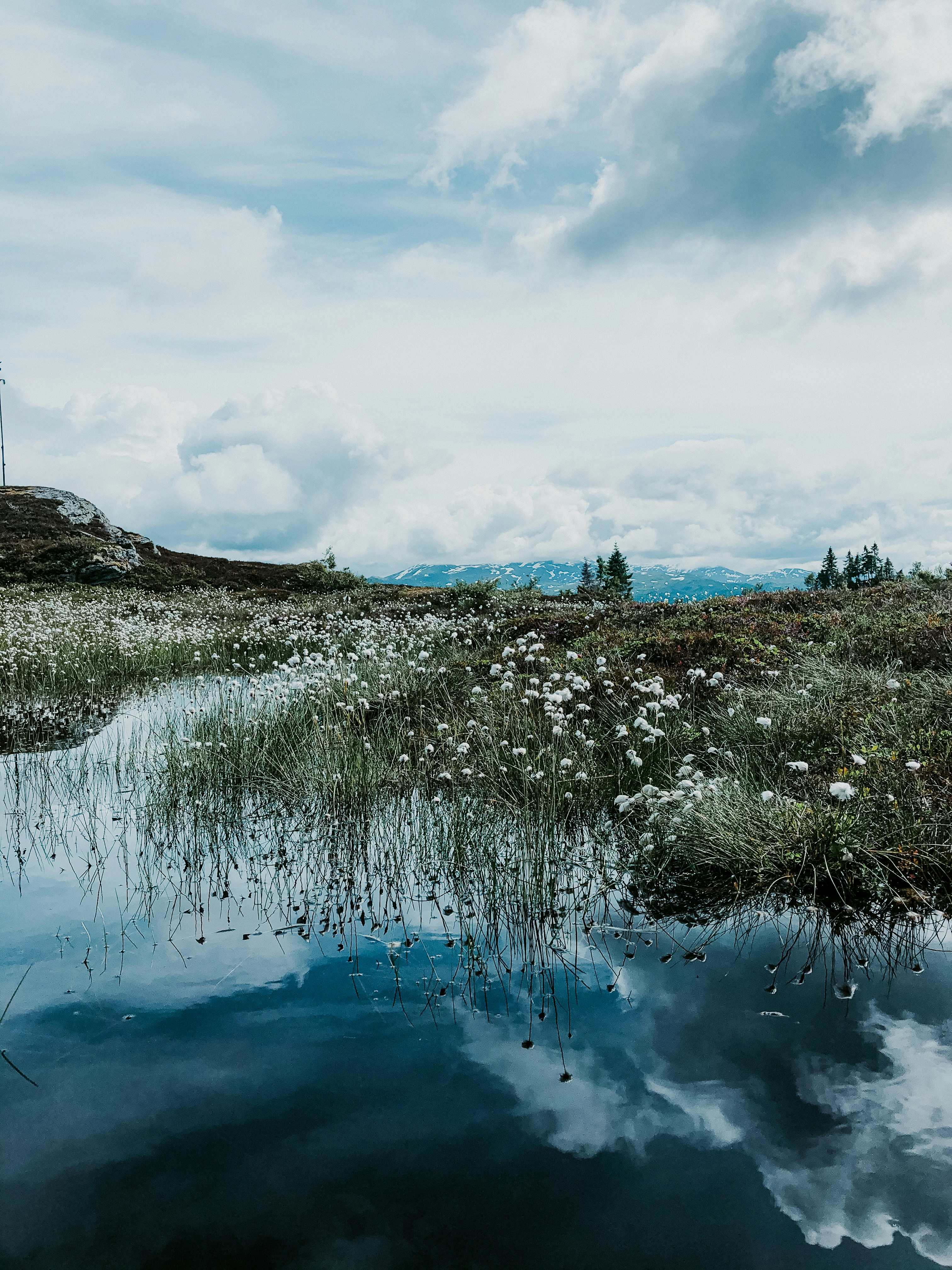 Photo by lenenjensen