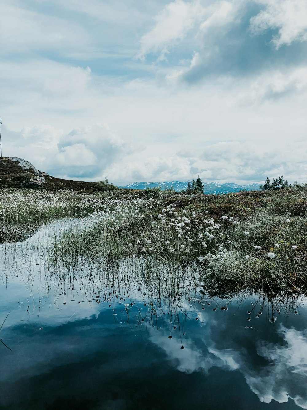 campo di erba verde vicino allo specchio d'acqua sotto nuvole bianche e cielo blu durante il giorno