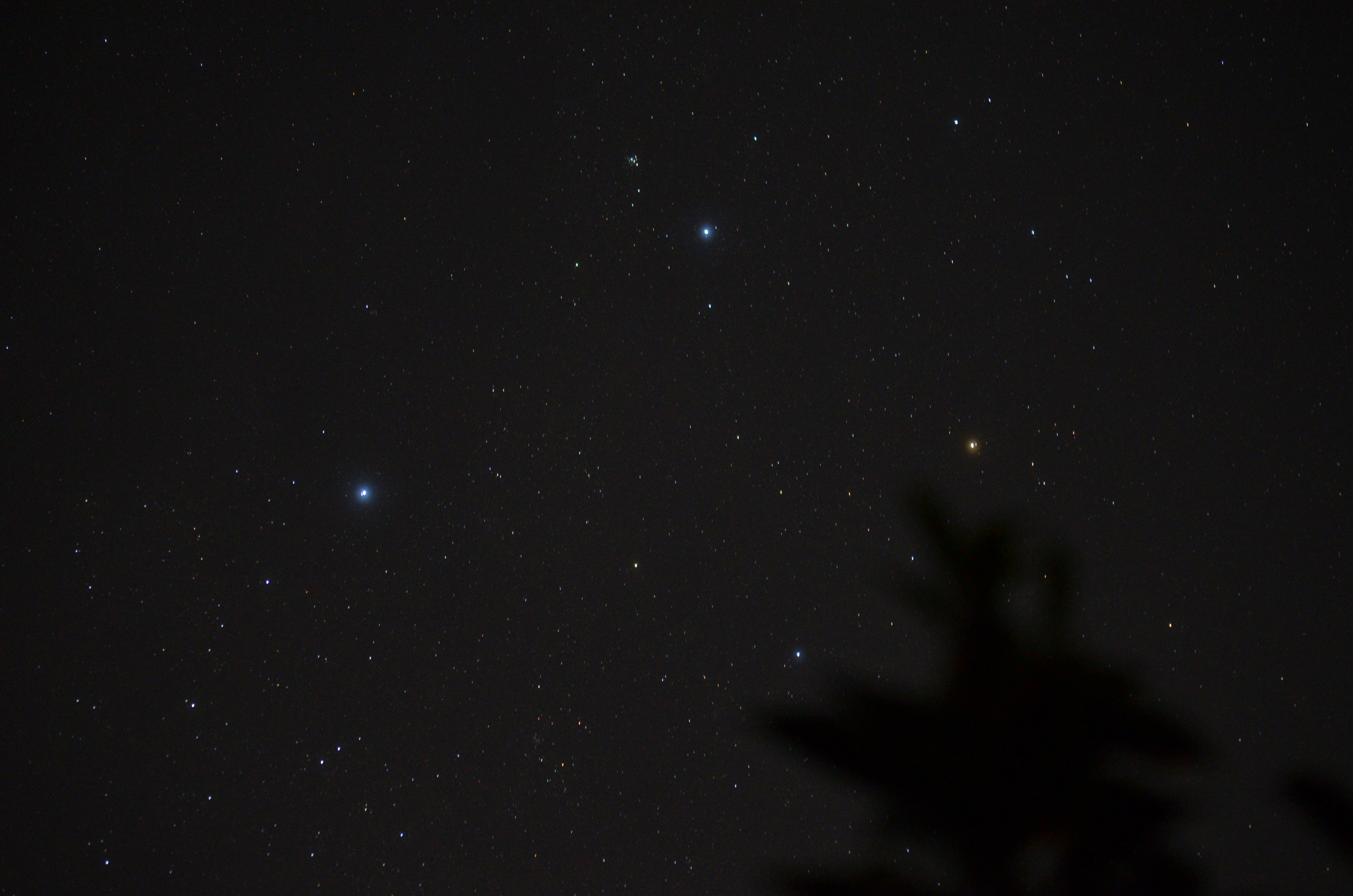 stars in the sky during night time