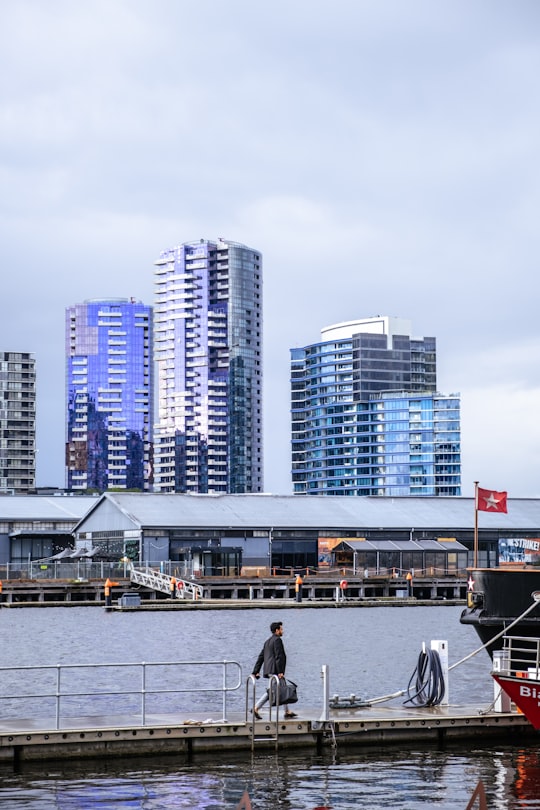 people walking on dock near high rise buildings during daytime in Docklands Park Australia