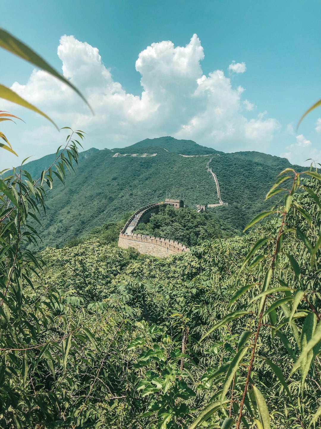 Jungle photo spot Great Wall of China China