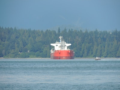 A large red cargo ship is positioned prominently on a body of water, with a densely forested shoreline in the background. A small boat is sailing alongside the cargo ship.