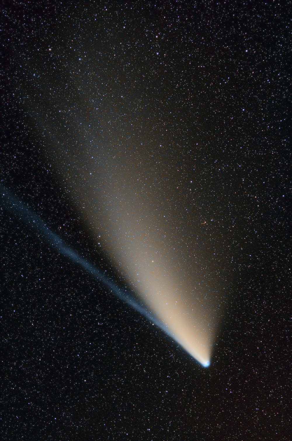 stelle bianche e nere su cielo scuro