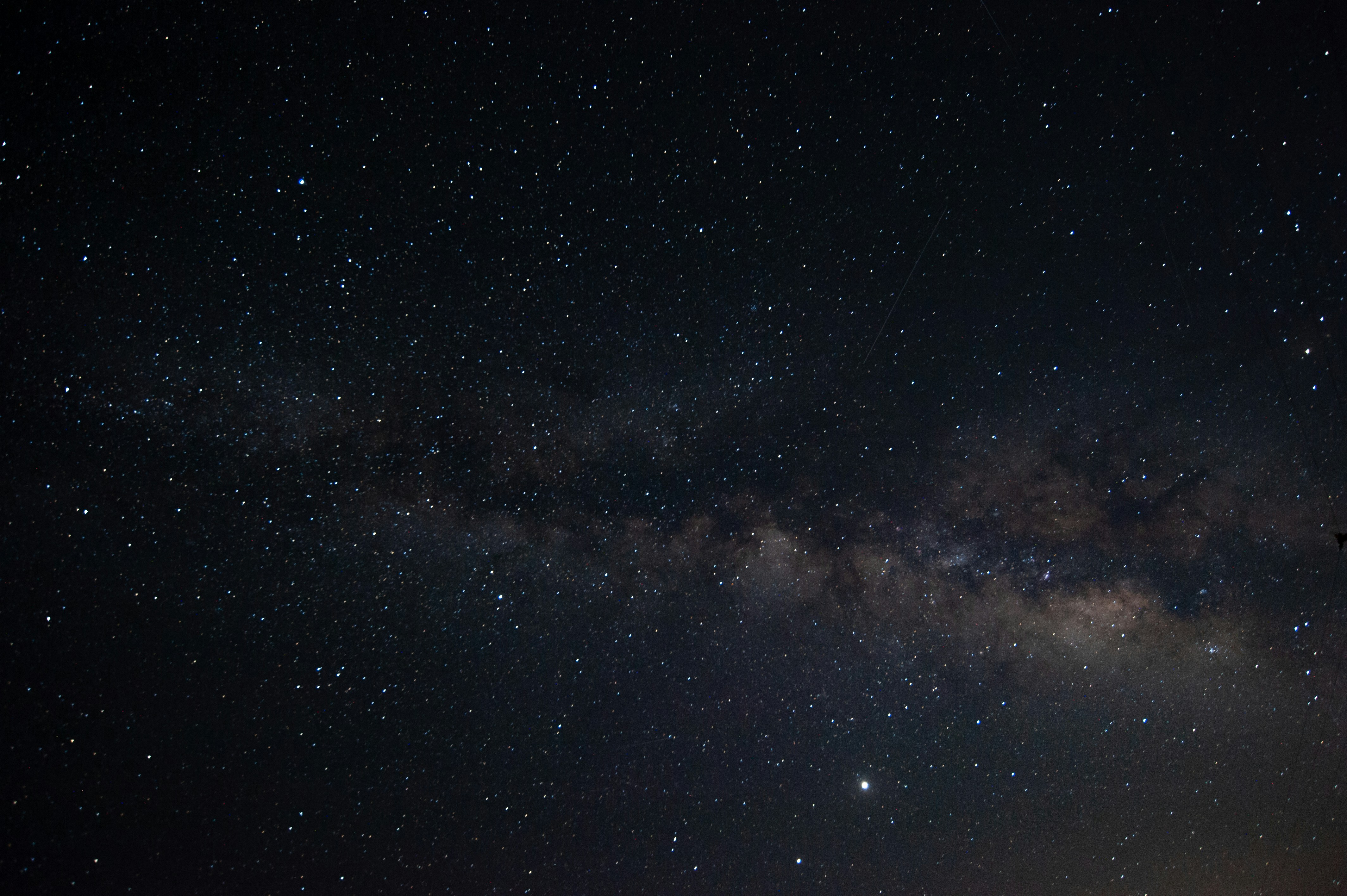 Photo by luisjlara343