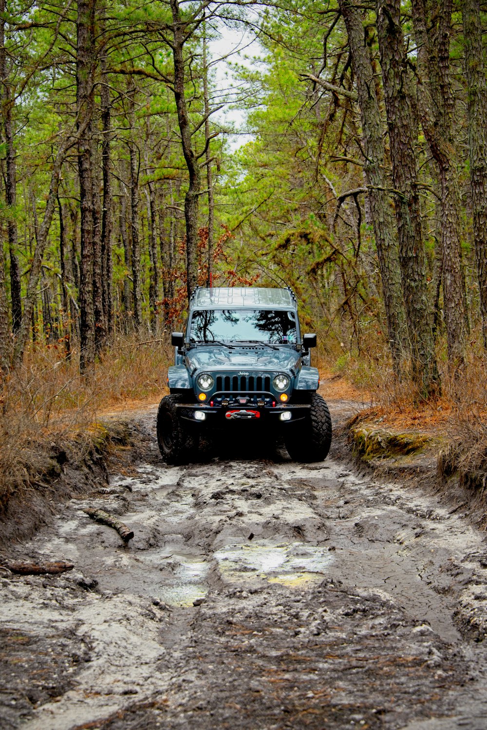 white and black jeep wrangler on dirt road in between trees during daytime
