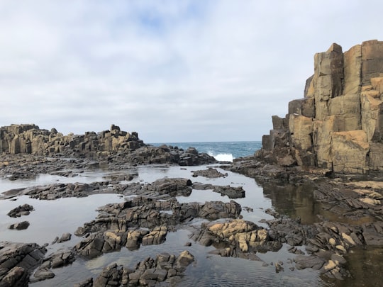 2533 things to do in Bombo