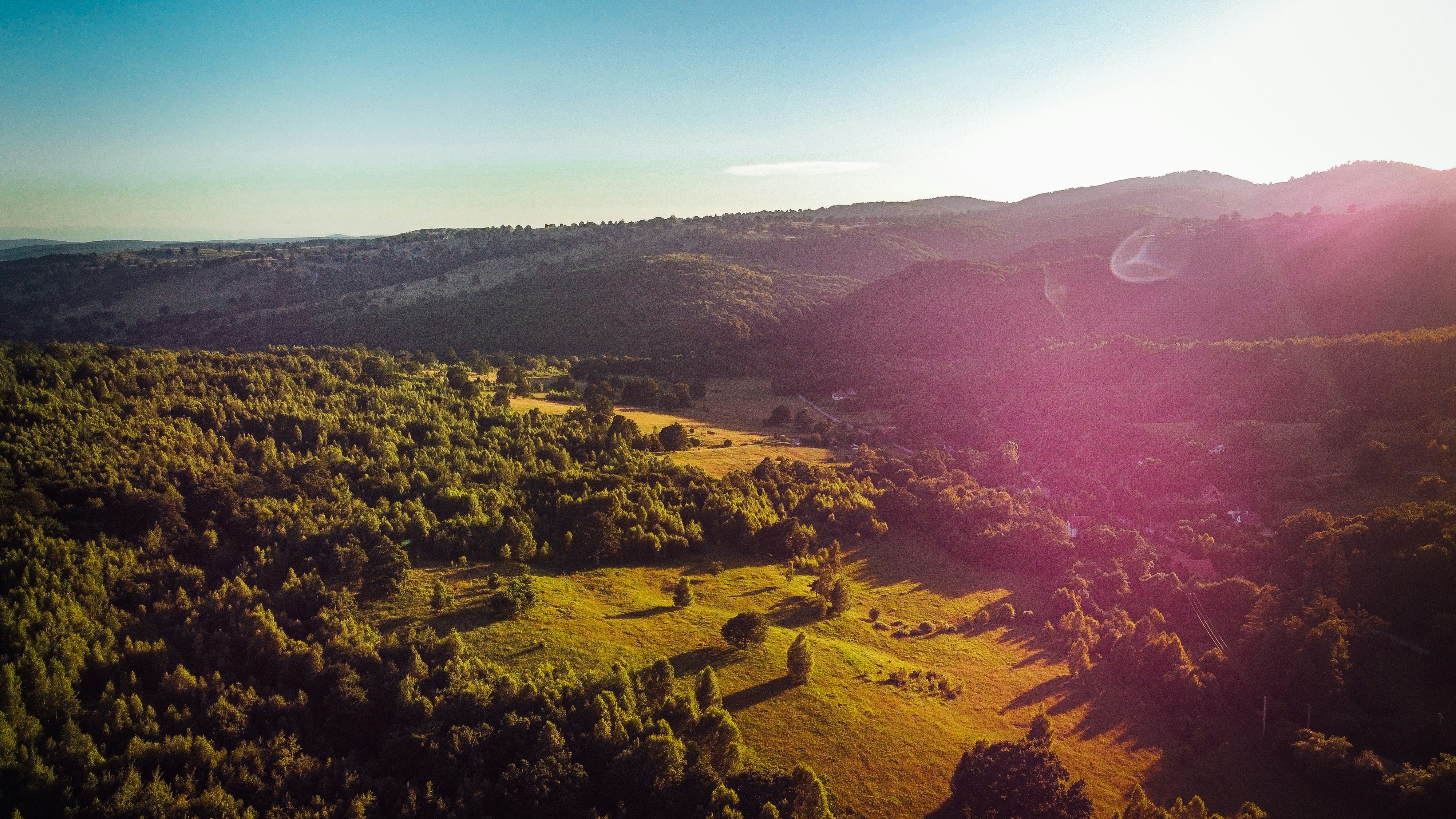 green trees and brown mountains during daytime