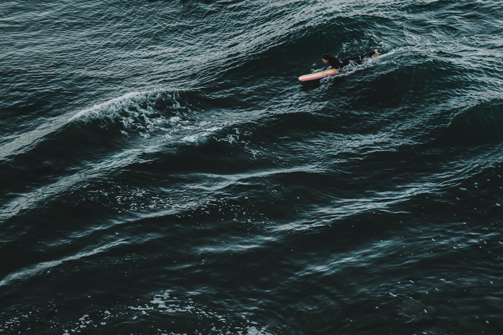 낮에 바다에서 서핑하는 사람