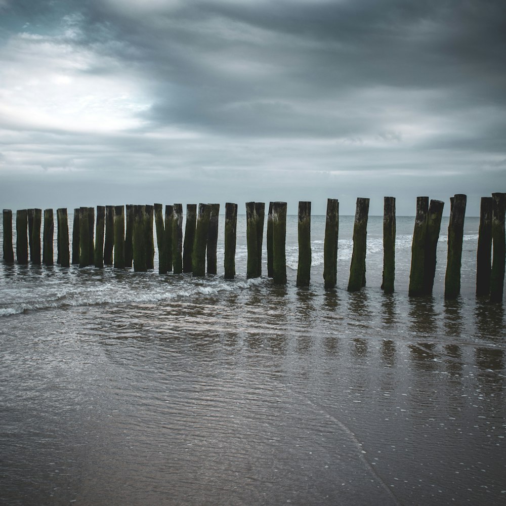 brown wooden posts on water