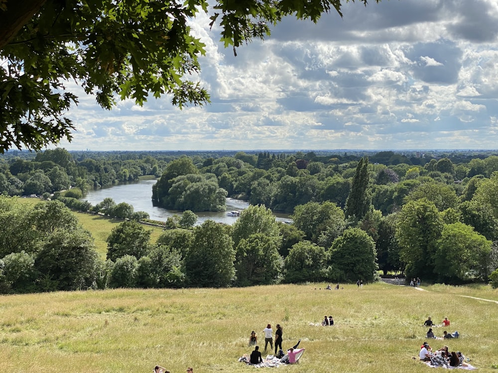 people on green grass field near lake during daytime