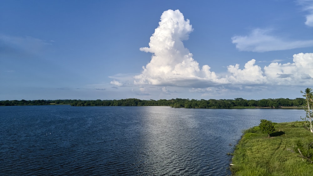 green grass field near body of water under blue sky and white clouds during daytime