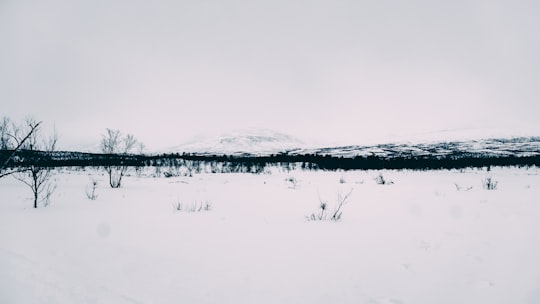 snow covered field during daytime in Abisko Sweden