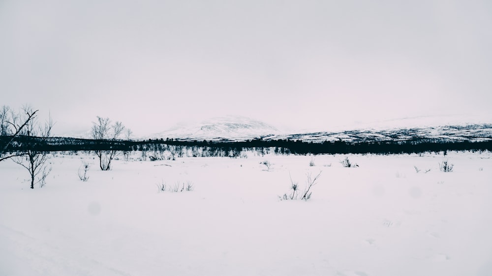 snow covered field during daytime