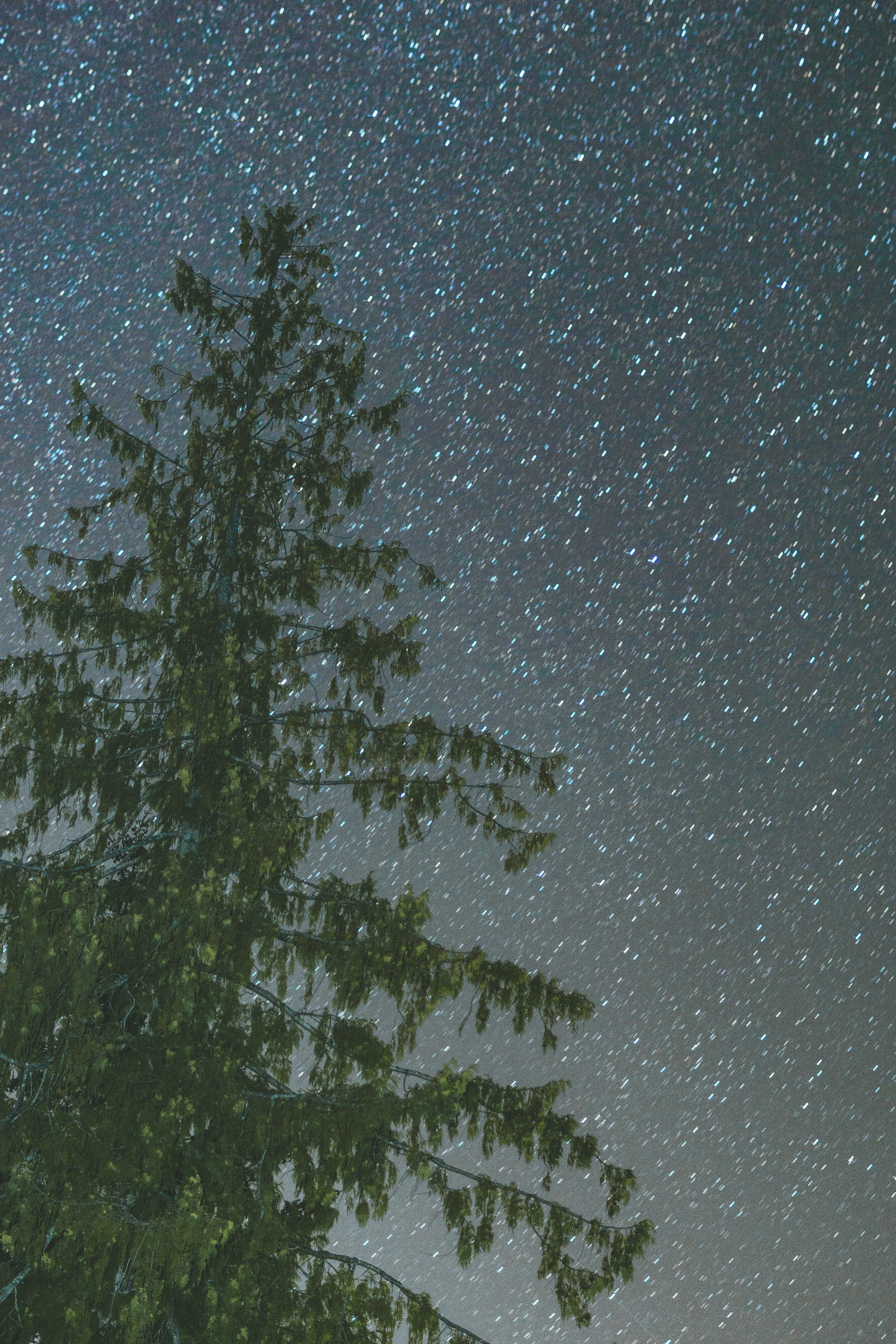 Photo by jaspergarrattphotography