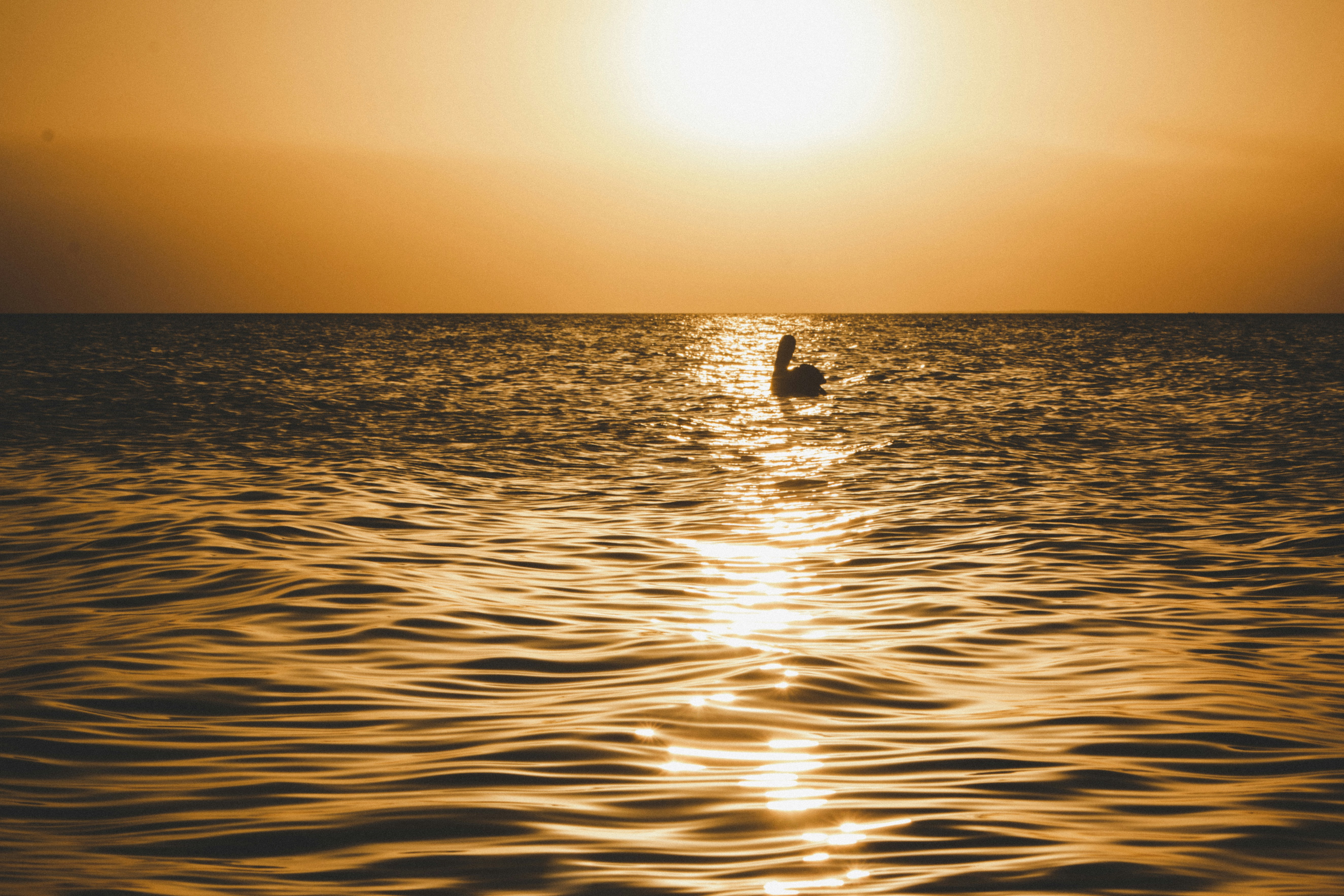 Photo by yassine_khalfalli