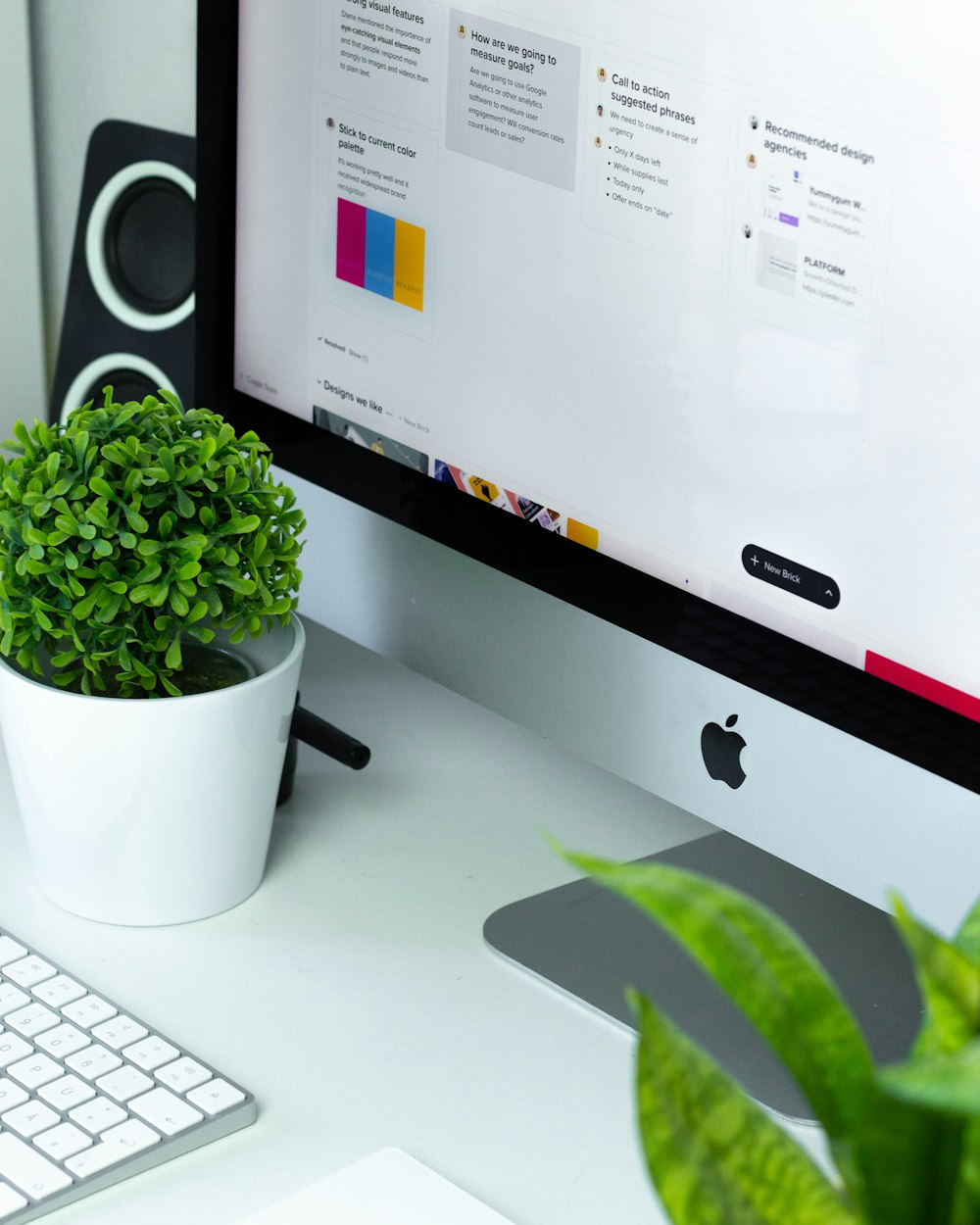 plante verte sur pot en céramique blanche