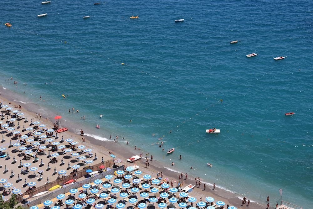 people on beach during daytime