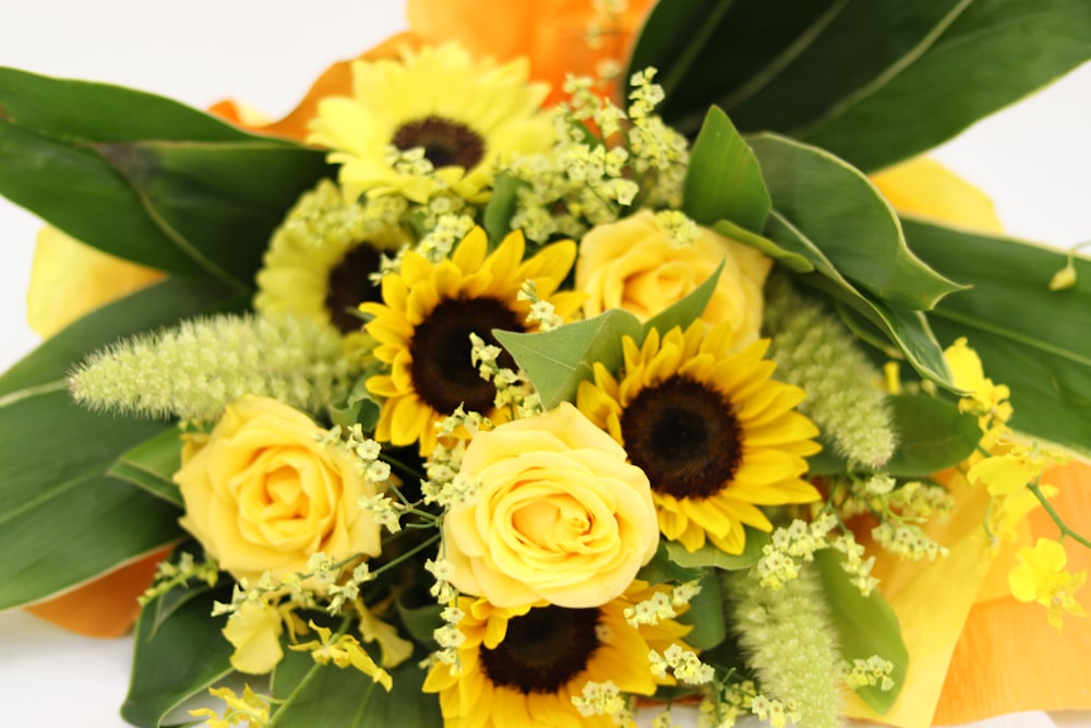 yellow and white flowers on orange flower