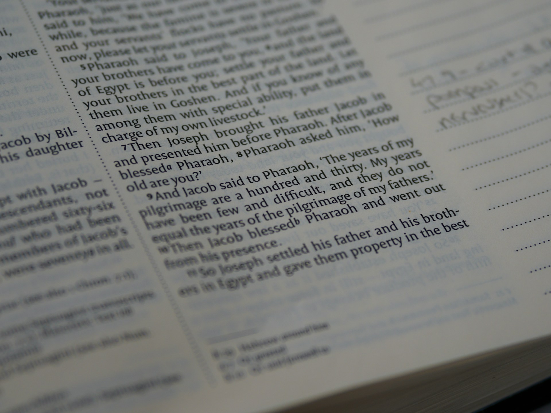 gray computer monitor