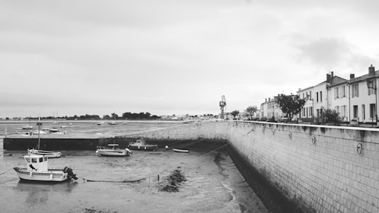 grayscale photo of body of water in Île de Ré France