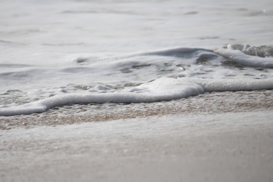 sea waves on brown sand during daytime in Kovalam India