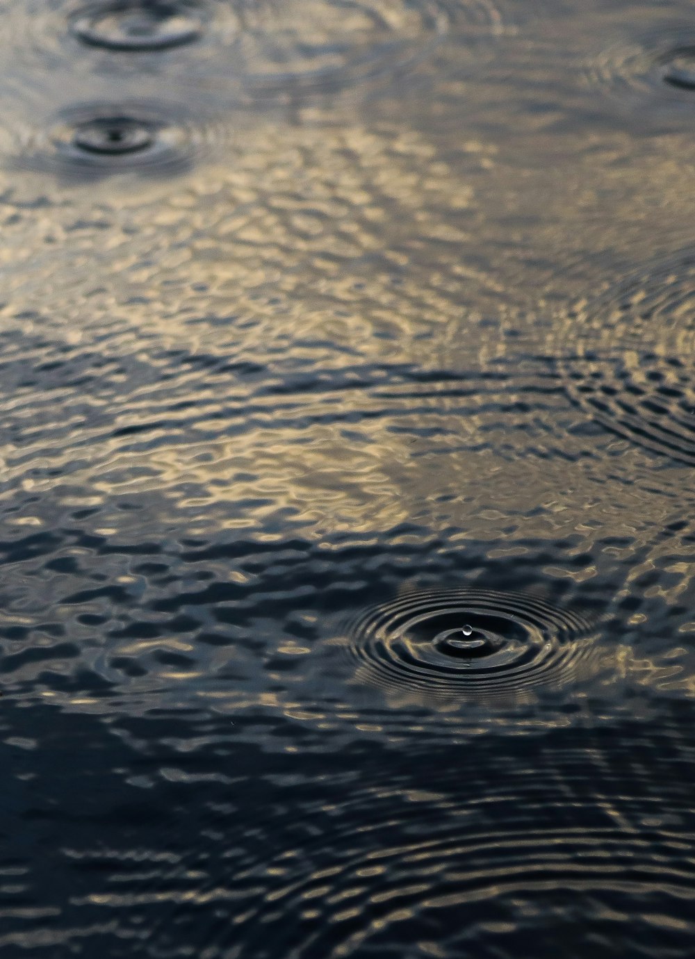 Wassertropfen auf braunen Sand