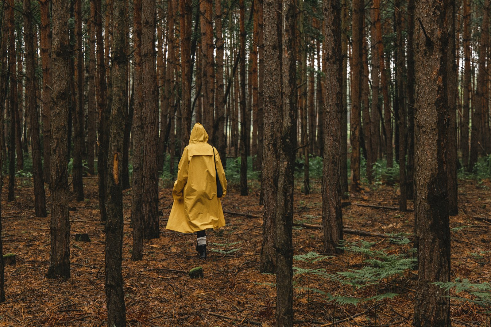 Canon EOS RP + Canon RF 24-105mm F4L IS USM sample photo. Woman in yellow coat photography