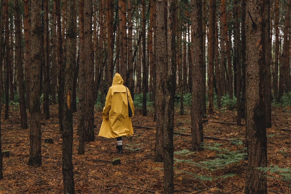 Mujer con abrigo amarillo caminando en el bosque durante el día