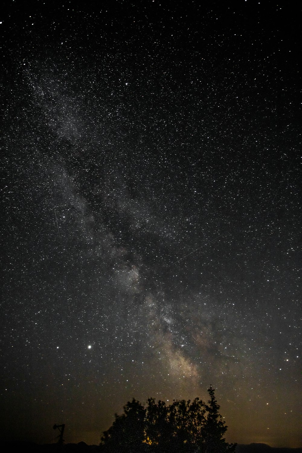 the night sky with stars and trees in the foreground