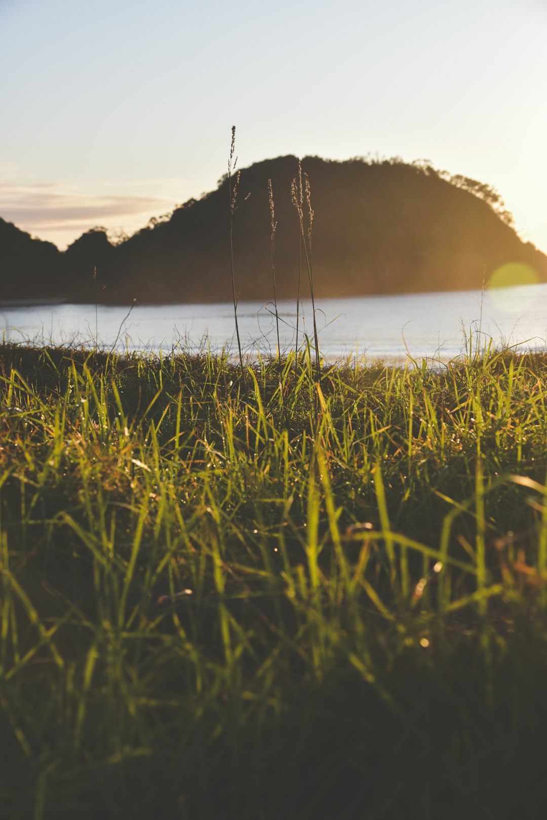 green grass field near lake during daytime