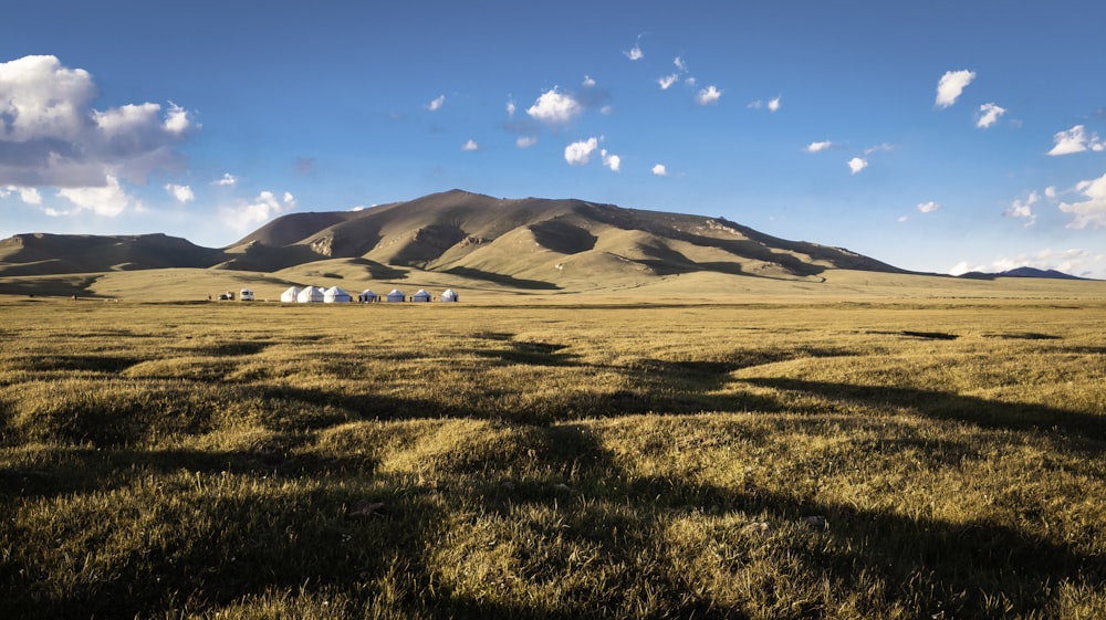 Champ d’herbe verte près de la montagne sous le ciel bleu pendant la journée