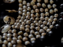 A close-up view of metallic beads and shiny buttons, arranged in a textured and intricate pattern. The beads are spherical and reflect light, creating an interesting play of shadows and highlights. The buttons, also shiny, add a contrasting element to the composition.