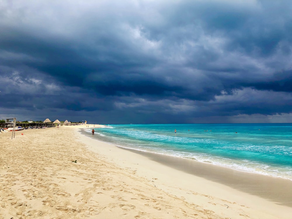 people on beach during daytime