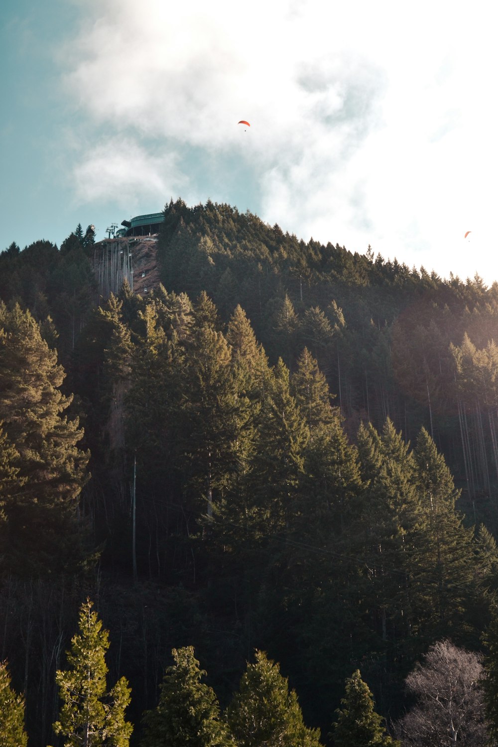 alberi verdi vicino alla montagna sotto il cielo nuvoloso durante il giorno