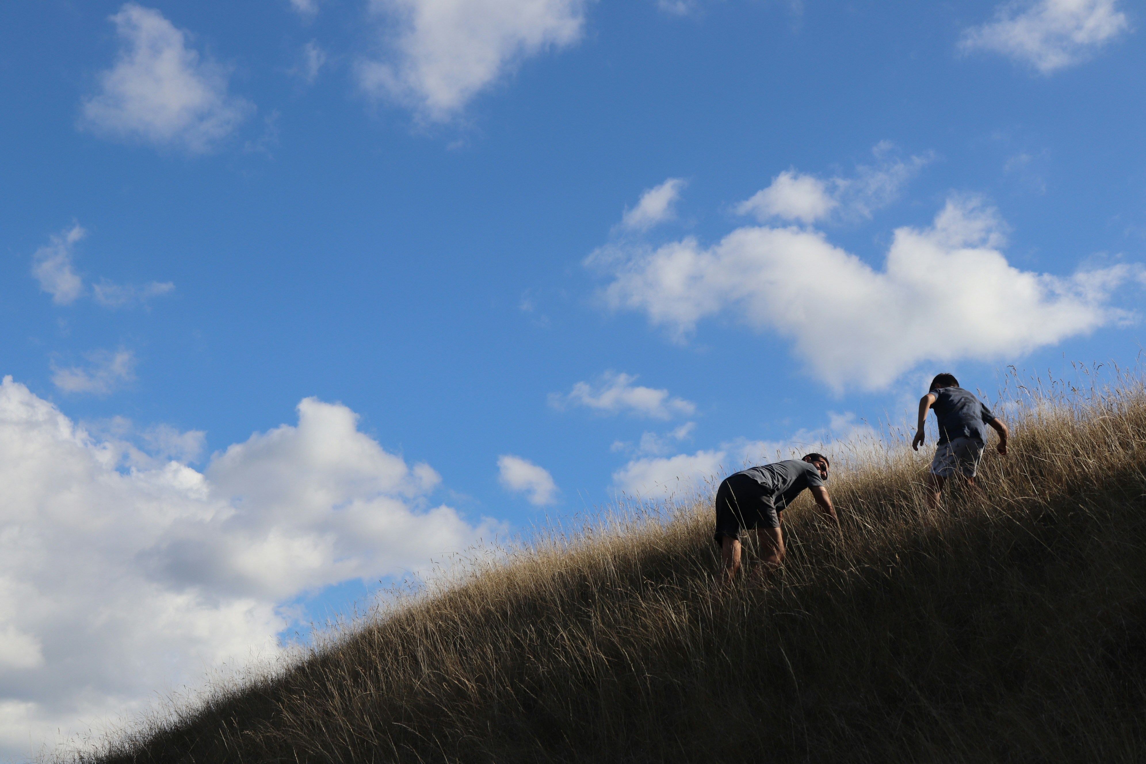 Photo by lisalisalisalisa