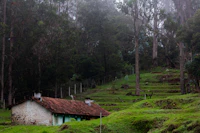 Best Fast Food Places in Kodaikanal When You Need a Quick, Decent Meal