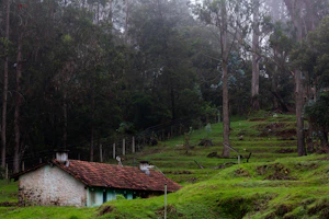 Kodaikanal