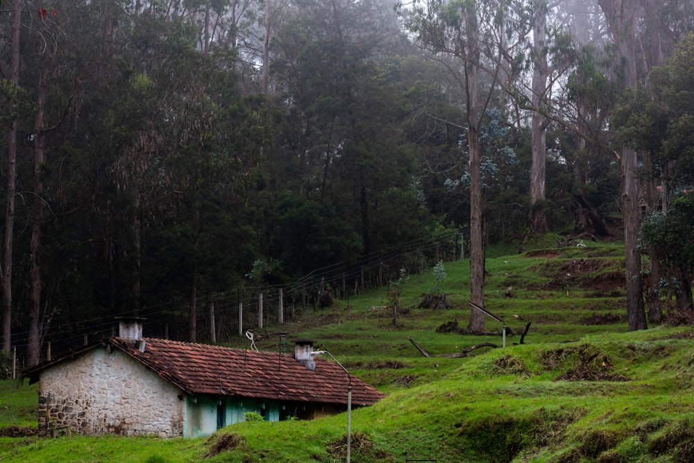 brown wooden house near green trees during daytime