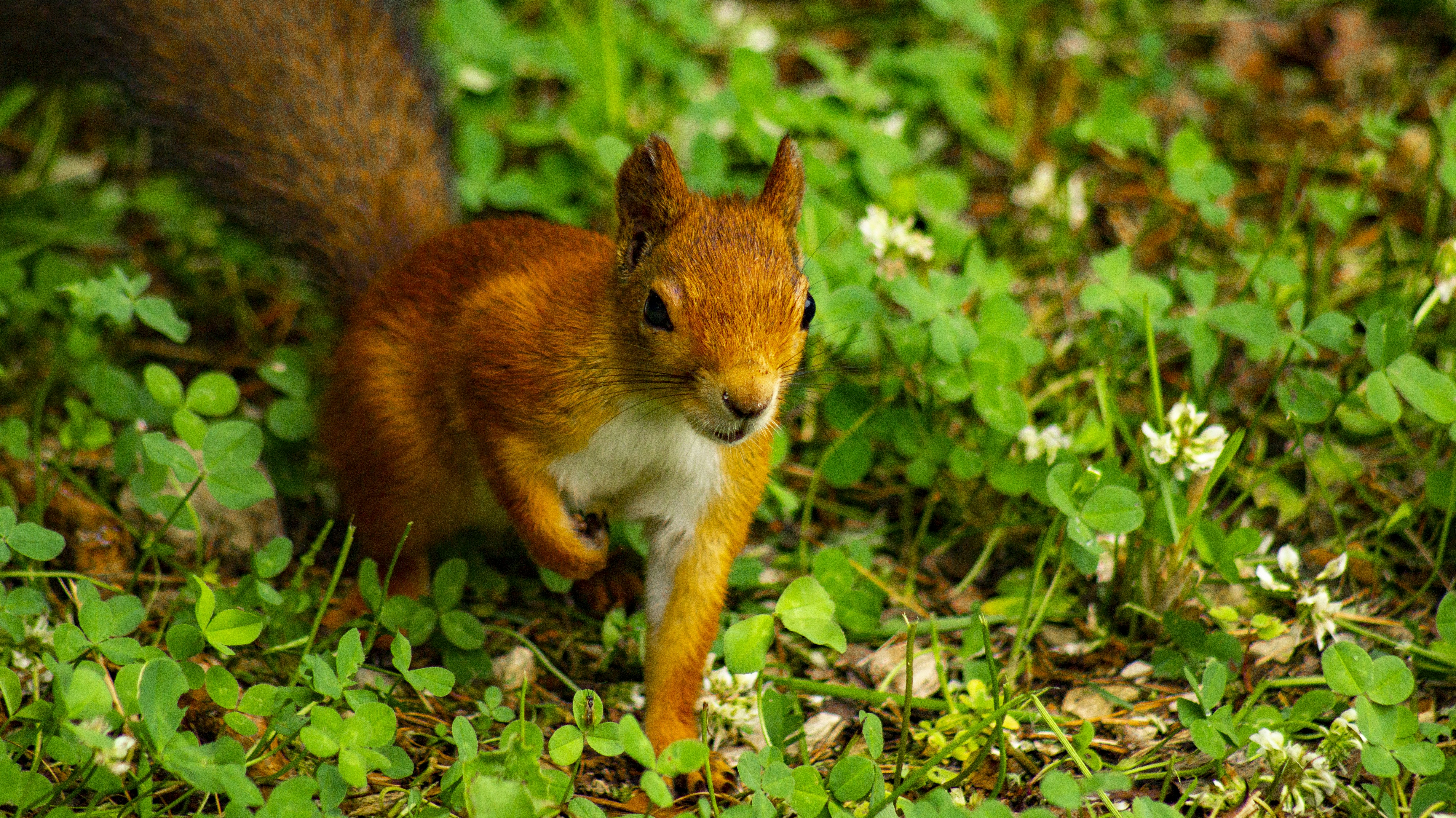 Photo by alex_devera